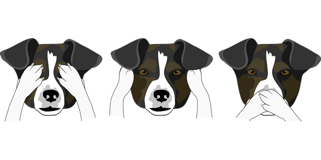 hundeköpfe